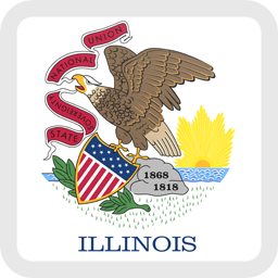 Botón cuadrado de la bandera de Illinois