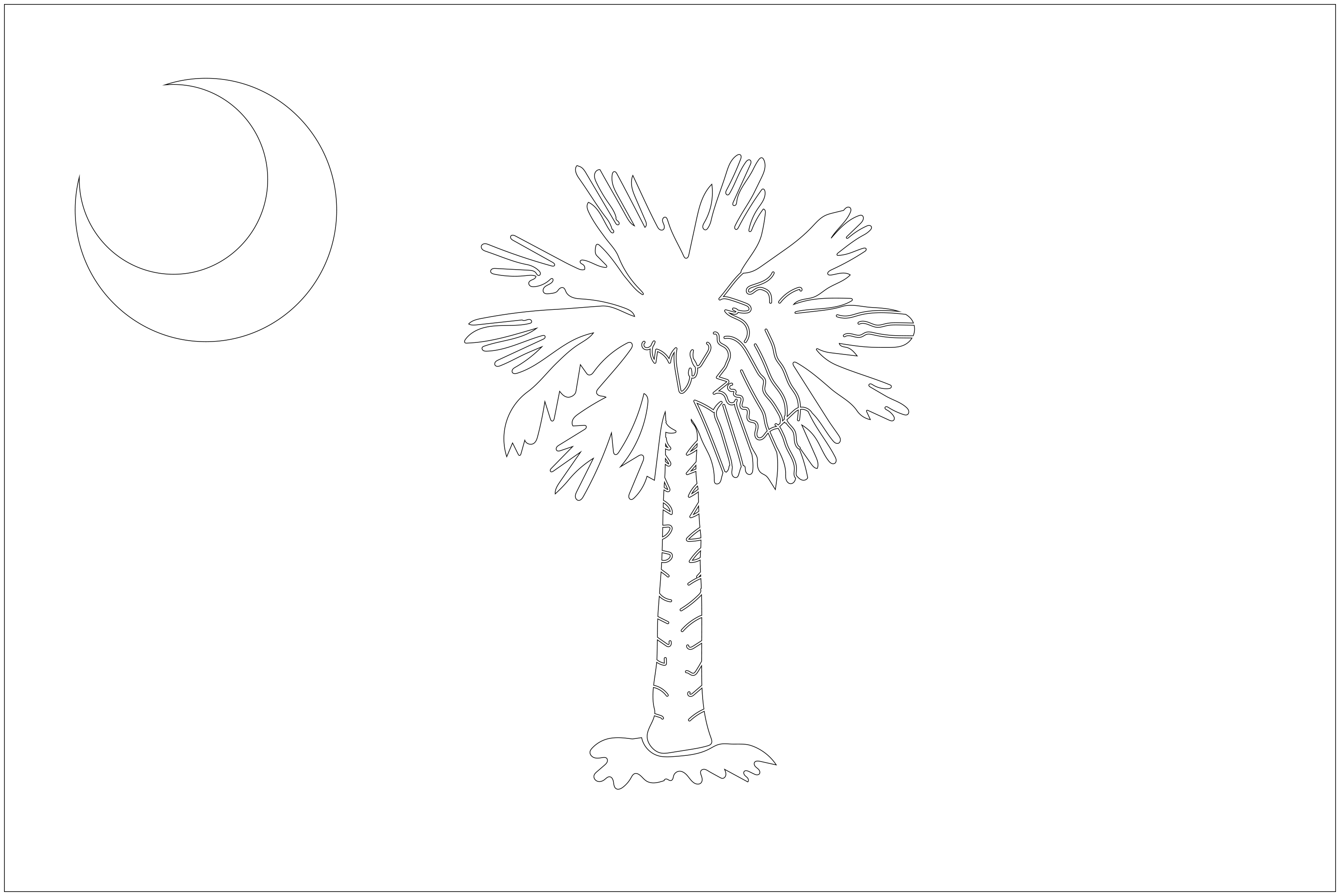A3 de la bandera de Carolina del Sur